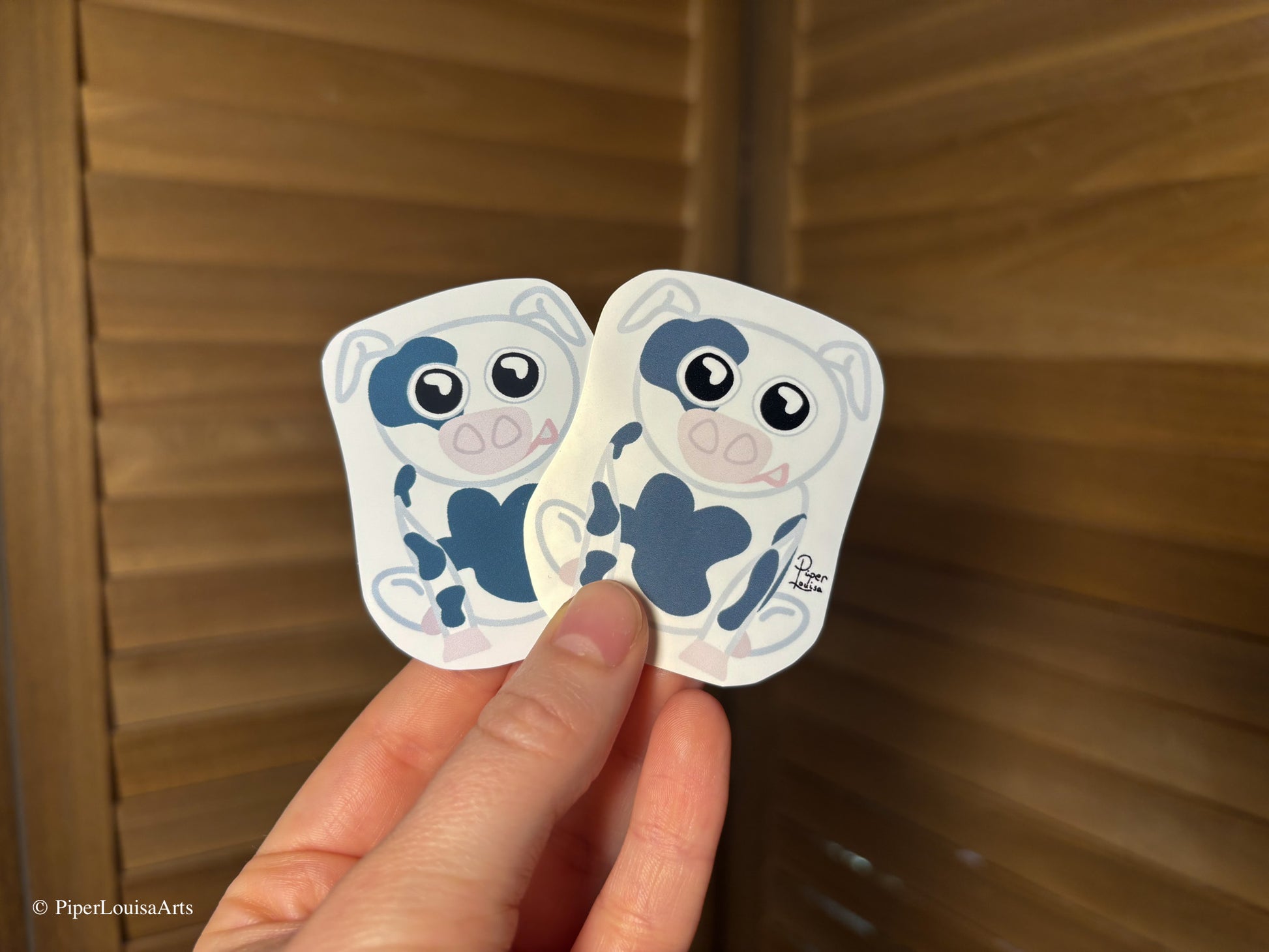 Matte on left, Glossy on right - Callie the Cow Sticker