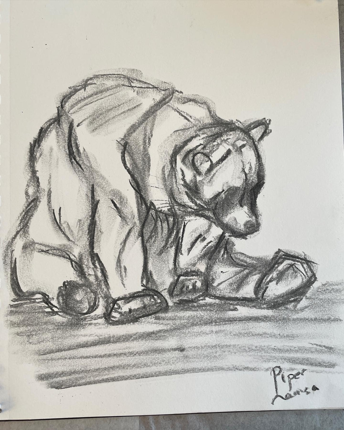 Blog Image; Bear sitting down, drawn in charcoal